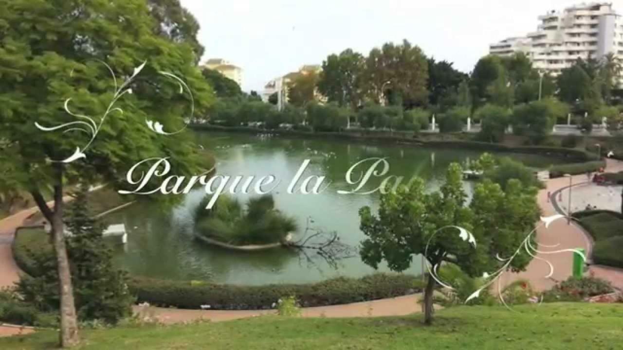 Apartamento Pepita Alay ベナルマデナ エクステリア 写真